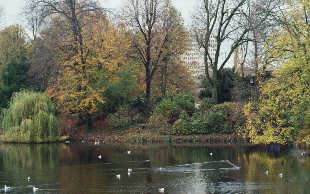 Vergesellschaftung in den Kommunen