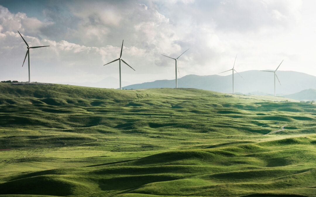 Great British Energy: Vorbild für demokratische Stromversorgung?