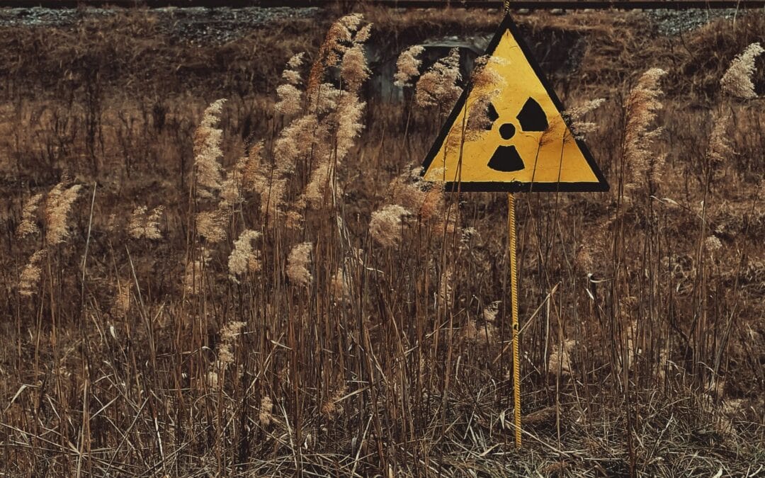 Abschalten per Volksentscheid