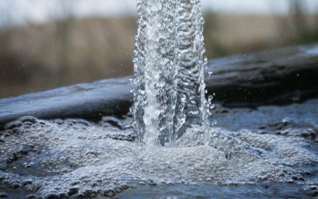 Vergesellschaftung als Selbsterhalt: Dem Wasserbankrott begegnen